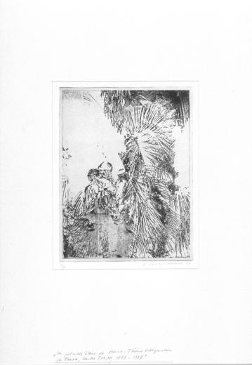 Les palmiers bleus IV by Kohler-Chevalier Walter