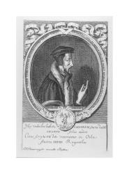 Johan Calvinus vere Theologus by Thurneysen Johann Jakob