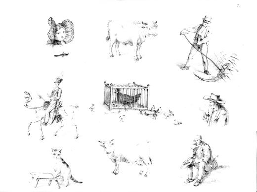 Der Zeichnungslehrer für Kinder in sechs Vorlegeblättern (…) by König Franz Niklaus