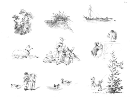 Der Zeichnungslehrer für Kinder in sechs Vorlegeblättern (…) by König Franz Niklaus