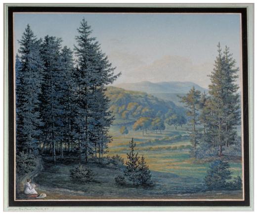Waldrand mit Ausblick in Landschaft, vorne links eine zeichnende Frau by Bauer Elisabeth