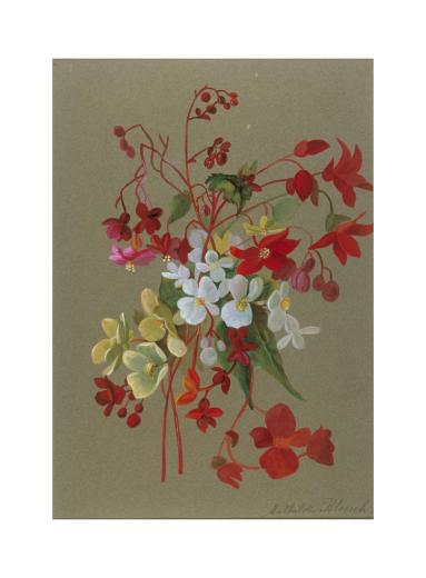 Blumen by Wartmann-Bloesch Elise (dite Mathilde)